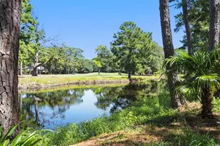 695 Country Club Dr, Pawleys Island, SC 29585 - Photo 4