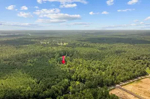 3750 Hwy 813, Conway, SC 29526 - Photo 62