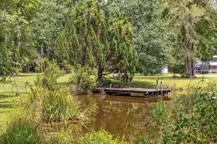 3750 Hwy 813, Conway, SC 29526 - Photo 42
