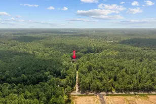 3750 Hwy 813, Conway, SC 29526 - Photo 60