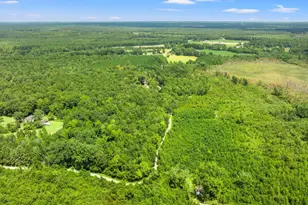 3124 Doodlebug Pl, Marion, SC 29571 - Photo 40