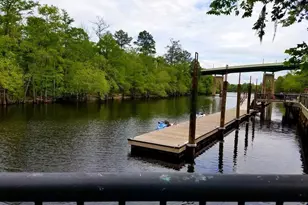 302 Kiskadee Loop, Conway, SC 29526 - Photo 38