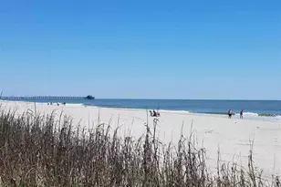 302 Kiskadee Loop, Conway, SC 29526 - Photo 30