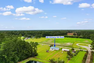 299 Williams Hill Rd, Hemingway, SC 29554 - Photo 38