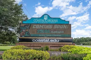 144 Harvest Gold Dr, Conway, SC 29526 - Photo 28