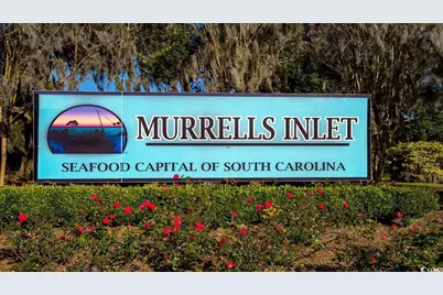 313 Skyward St., Myrtle Beach, SC 29588 - Photo 26