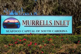 313 Skyward St, Myrtle Beach, SC 29588 - Photo 26