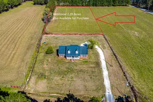 2851 Hwy 984, Galivants Ferry, SC 29544 - Photo 6