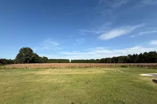 2851 Hwy 984, Galivants Ferry, SC 29544 - Photo 6