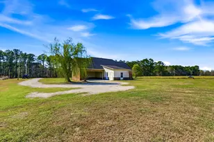 2851 Hwy 984, Galivants Ferry, SC 29544 - Photo 6