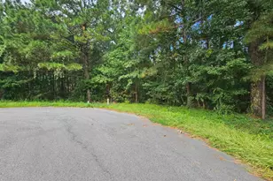 8340 Bucksport Heights Circle, Conway, SC 29527 - Photo 1