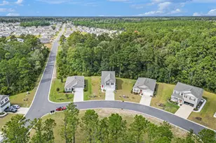 4005 Sweetspire Ct, Conway, SC 29526 - Photo 28