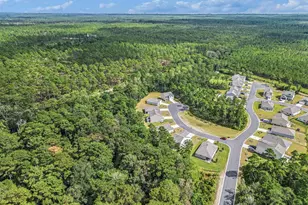 4005 Sweetspire Ct, Conway, SC 29526 - Photo 30