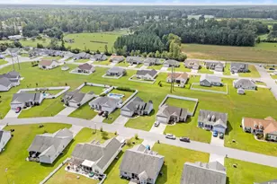 161 Grier Xing Dr, Conway, SC 29526 - Photo 30