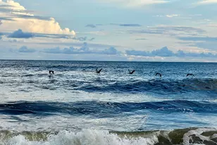 2001 S Ocean Blvd, Myrtle Beach, SC 29577 - Photo 24