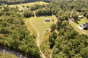 435 Alligator Ln, Andrews, SC 29510 - Photo 2