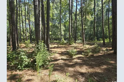 Tbd Allen Dew Rd., Conway, SC 29527 - Photo 1