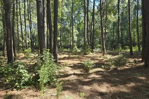 Tbd Allen Dew Rd, Conway, SC 29527 - Photo 1