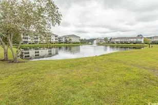328 Kiskadee Loop, Conway, SC 29526 - Photo 34