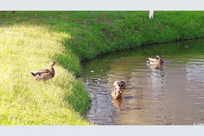 503 N 20th Ave. N #58C, North Myrtle Beach, SC 29582 - Photo 32