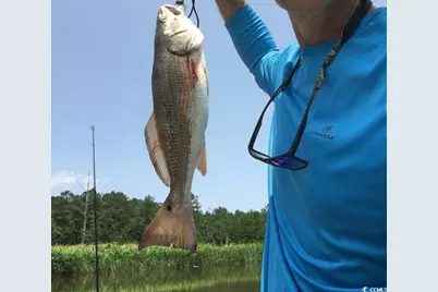 Slip 36 Friendfield Marina, Georgetown, SC 29440 - Photo 14