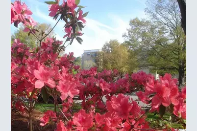 5001 Little River Rd. #W-504, Myrtle Beach, SC 29577 - Photo 18