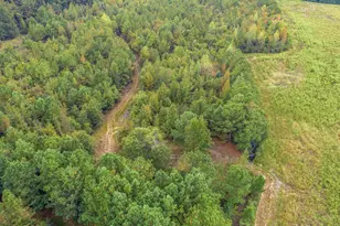 1217 Poplar Creek Rd, Lake View, SC 29563 - Photo 32