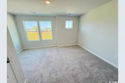 1301 American Shad Dr., Conway, SC 29526 - Photo 2