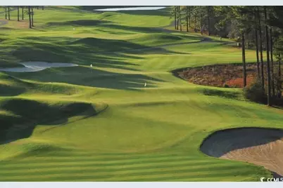 1031 Clamour Ct., Conway, SC 29526 - Photo 12