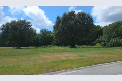 Lot 1 Cravens St., Georgetown, SC 29440 - Photo 8