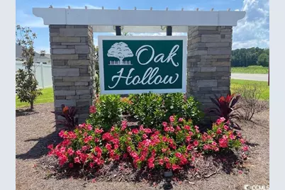 423 White Willow Way, Longs, SC 29568 - Photo 22