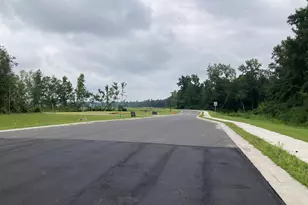 165 River Birch Dr, Loris, SC 29569 - Photo 12