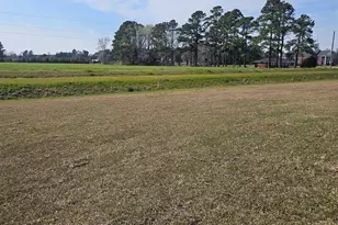 169 River Birch Dr, Loris, SC 29569 - Photo 30