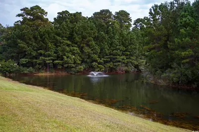269 Walden Lake Rd., Conway, SC 29526 - Photo 2