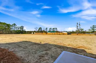 278 Lexyryan Ct, Latta, SC 29565 - Photo 22