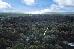 141 Marsh Oaks Dr, Pawleys Island, SC 29585 - Photo 30