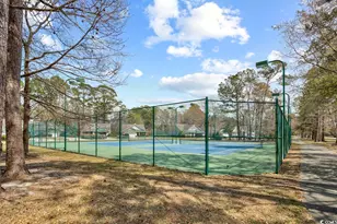 9 Pistachio Loop, Murrells Inlet, SC 29576 - Photo 36