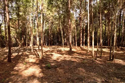 14.81 Acres-Tbd S Deerfield Rd., Johnsonville, SC 29555 - Photo 6