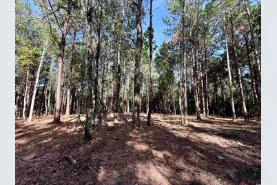 14.81 Acres-Tbd S Deerfield Rd., Johnsonville, SC 29555 - Photo 12