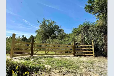 14.81 Acres-Tbd S Deerfield Rd., Johnsonville, SC 29555 - Photo 14