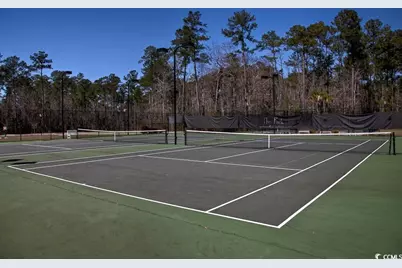 327 Simplicity Dr., Murrells Inlet, SC 29576 - Photo 38
