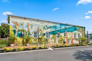 4107 Collins Farm Wy, Conway, SC 29526 - Photo 30