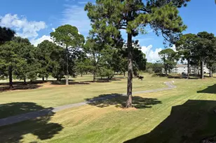 4647 Wild Iris Dr, Myrtle Beach, SC 29577 - Photo 28