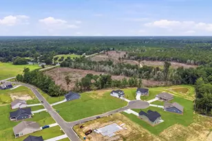 208 Blue Wing Ct, Conway, SC 29527 - Photo 42