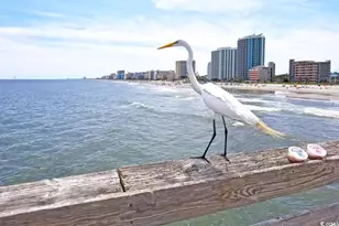 107 S Ocean Blvd, Myrtle Beach, SC 29577 - Photo 44