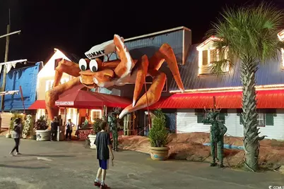 107 S Ocean Blvd. #505, Myrtle Beach, SC 29577 - Photo 40