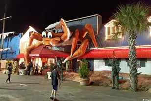 107 S Ocean Blvd, Myrtle Beach, SC 29577 - Photo 40