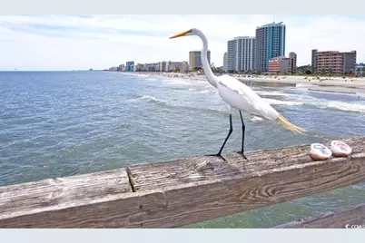 107 S Ocean Blvd. #505, Myrtle Beach, SC 29577 - Photo 34