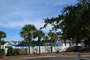 216 Rose Water Loop, Myrtle Beach, SC 29588 - Photo 28