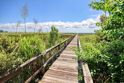 Lot 50 Oak Bay Dr., Georgetown, SC 29440 - Photo 10